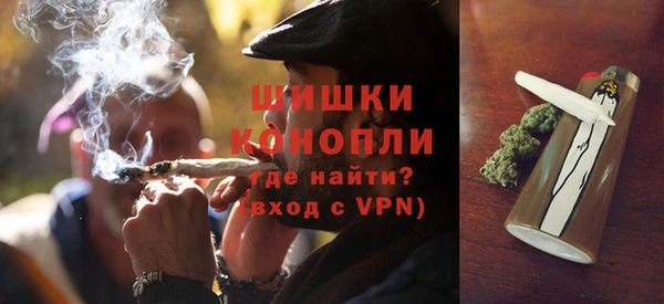 гидра Данков
