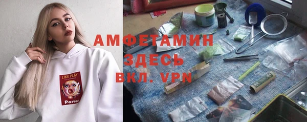 ешки Снежногорск
