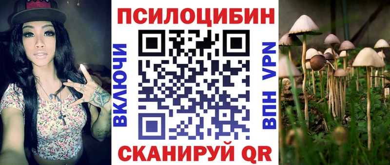 Галлюциногенные грибы мицелий Тулун